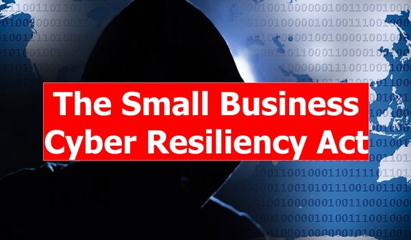 Shaheen Joins Risch to Introduce Bipartisan Bill to Improve Small Businesses' Access to Cyber Security Resources